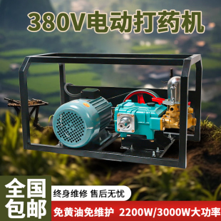380v电动打药机高压农用果园三相电新式喷药泵农药喷雾器大功率