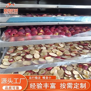 全自动真空冻干机 牛肉粒真空冻干设备 草莓干苹果干真空冻干机