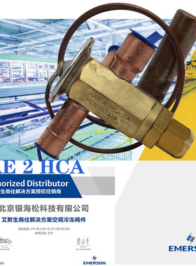 热力膨胀阀AAE 2 HCA谷轮2冷吨热泵空调用全封闭阀口热力膨胀阀