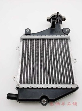 适用于标致摩托姜戈150SF4水冷 QP150T-3C DjangRoLCTcc水箱散热