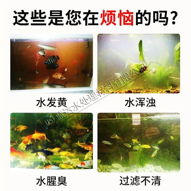 活性炭净水鱼缸海鲜池水产养殖过滤材料珊瑚骨T池塘水处理颗粒碳,宠物/宠物食品及用品,过滤材料,淘宝优惠券,粉丝福利购,淘宝优惠卷