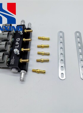 LPG液化气喷轨加热喷轨cng天然气喷气嘴高速静音U油改气改装2欧姆