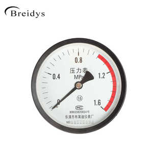 1.6MPa气压表M20 压力表储气e罐专用压力表Y100Z带红色警示线0