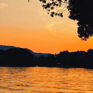 私家团 7天6晚 拙政园 外滩 沪苏杭 西湖 乌镇