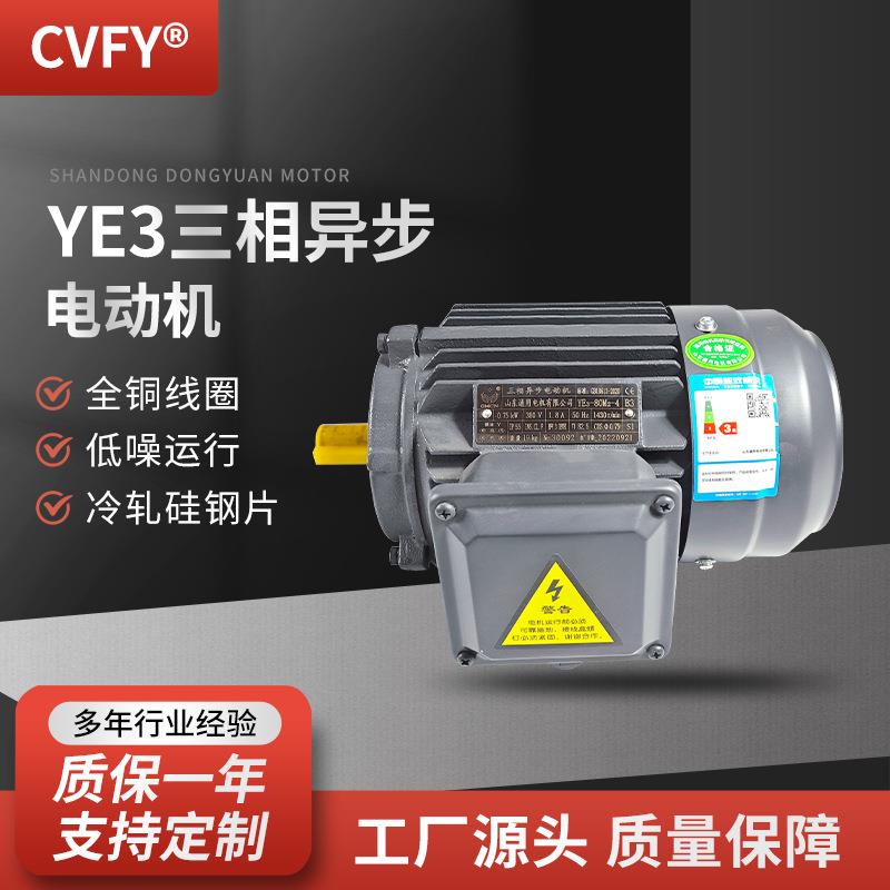 三相异步电动机YE3-112M-4极铁壳电机380V4W屠宰机械用马达