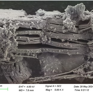 单层MXene分散液Ti3AlC2钛碳化铝粉体MAX相陶瓷材料多层易剥离