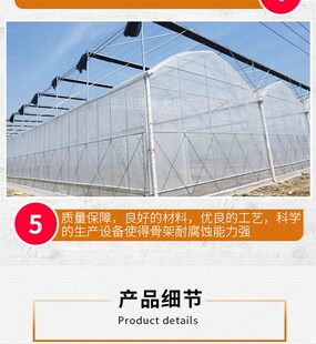 极速棚花栋蔬菜养殖支温连y卉全套定制钢管R配件骨Z架架子架室