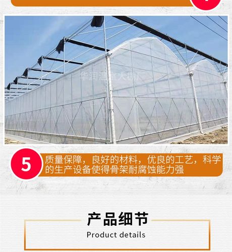 极速棚花栋蔬菜养殖支温连y卉全套定制钢管R配件骨Z架架子架室