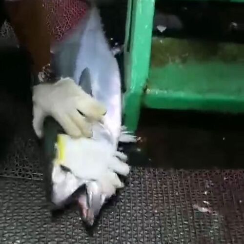 新品速沉aVIP铁板夜光铅鱼路亚饵海钓船钓金枪章红黄坚快抽长条金