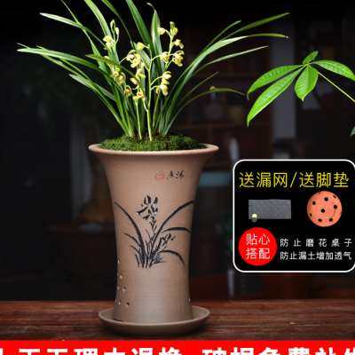 极速兰花盆陶瓷透气紫砂花盆带托盘小号吊兰O君子兰蓝兰草兰花专