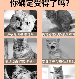 极速猫咪禁发情抑制母猫s公猫绝情猫叫非药猫发情期喵情欲粉抑情