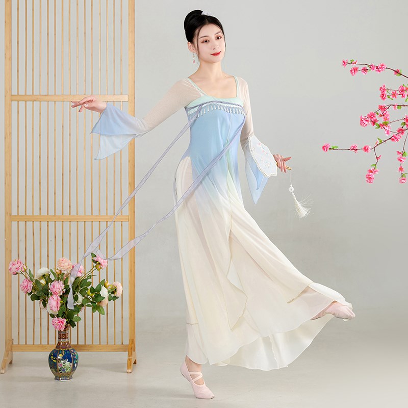 极速古典舞舞蹈服女飘逸身u韵长款纱衣中国舞演出服古风齐胸汉唐