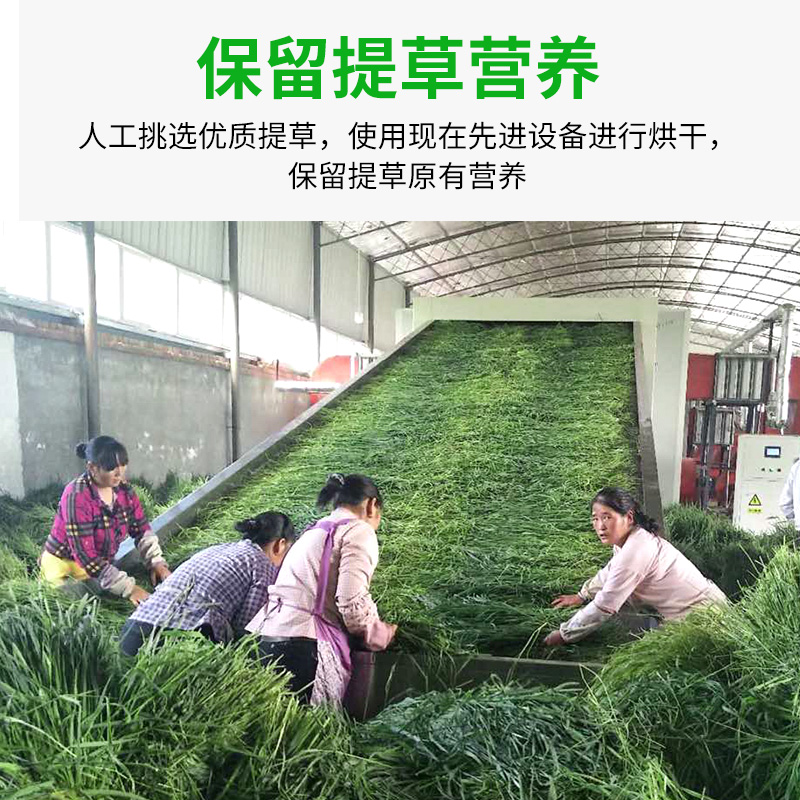 极速北提摩西草兔粮干草龙猫牧草烘干晒垫料兔P子吃的草粮食物饲