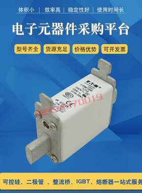 极速快速熔断器保险丝170M1566D /1567/1568/1568D/1569/W1569D/1