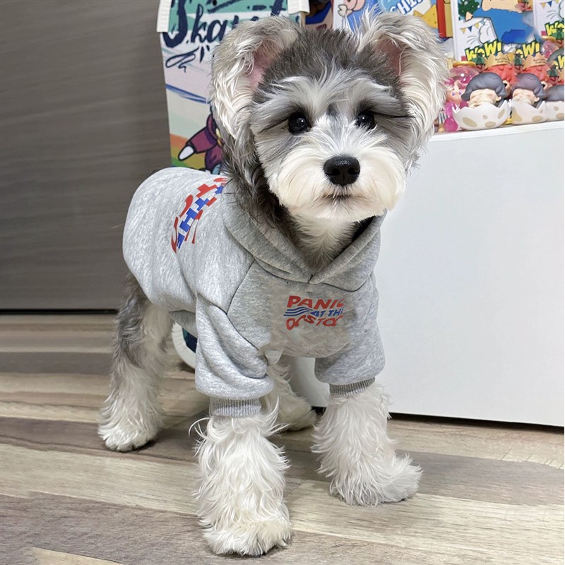 极速宠物狗狗衣服连帽卫衣秋v冬纯色保暖猫咪雪纳瑞中小大型犬202