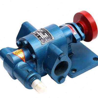 极速新品新c品抽油泵电动油泵汽油泵增压润B滑M油泵高粘度摆线齿