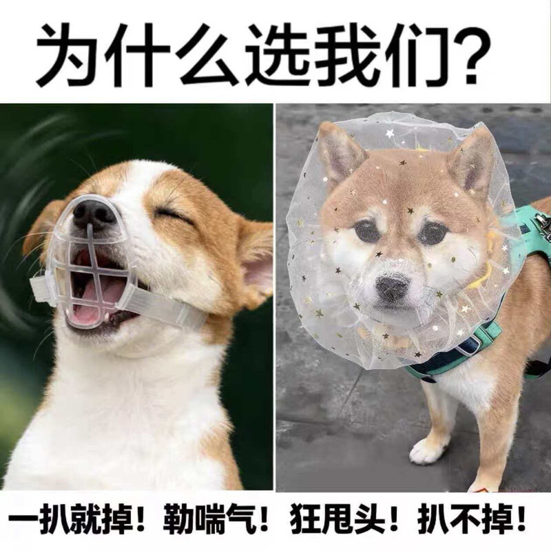 可调节透气伊丽莎白圈猫狗绝育耻辱圈伤口防护防舔咬宠物脖颈头套