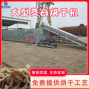 网带茭白烘干机 多层全自动茭白干茭笋脱水干燥机 茭白丝烘干设备