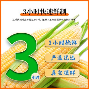 2025年时光良田新玉米黑龙江糯玉米真空玉米棒8根礼盒装非转基因