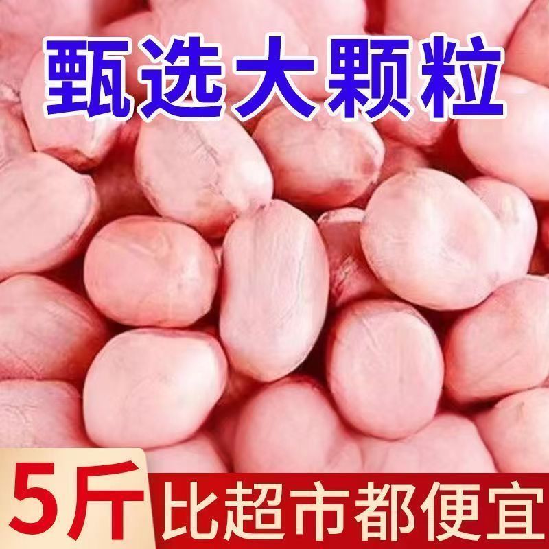 【大降价】现剥新花生米新货粉皮新鲜大颗粒榨油白沙花生米净重发