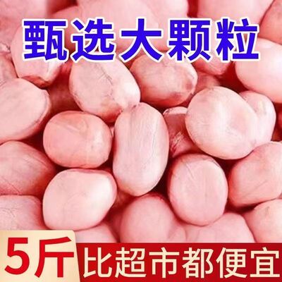 【大降价】现剥新花生米新货粉皮新鲜大颗粒榨油白沙花生米净重发
