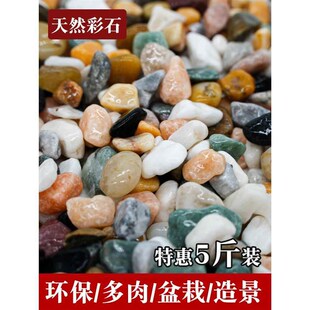 多肉铺面石植物花盆里面放的w小彩色石头白石子地面养花专用五彩