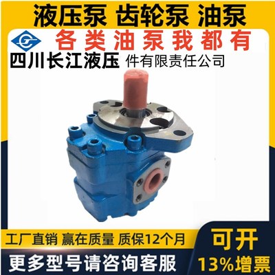 新款四川长江CBY3063/3080/3125/3100/3040/3050 - B1FWR B2FR包