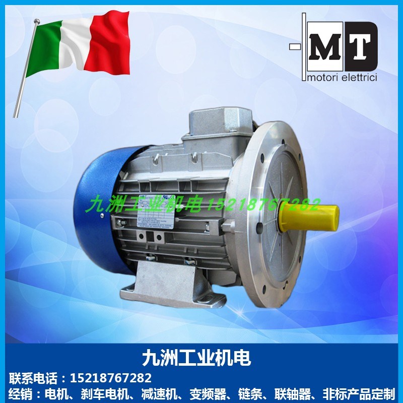 意大利 MT电机 TN63B4 o71B4 80B4 90L4 TFP100B4 TFP112B4 132MB