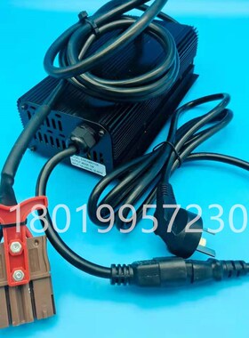 杭州杭叉电动叉车搬运车充电机充电器48V10A AIMB200-7U41000-A00