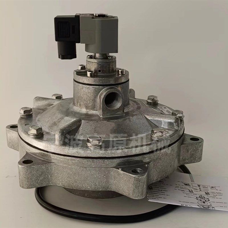 Pretty Goyen Diaphragm ValveC RCAC25T4002 RCAA3DM 1寸脉冲阀