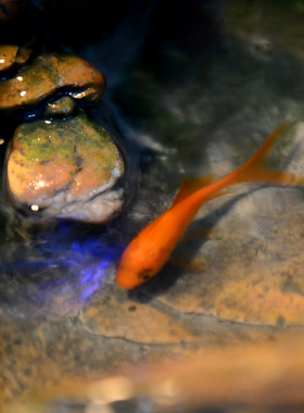 精品假山流水喷泉招财风水轮工艺品E盆景摆件家居创意山水盆景加