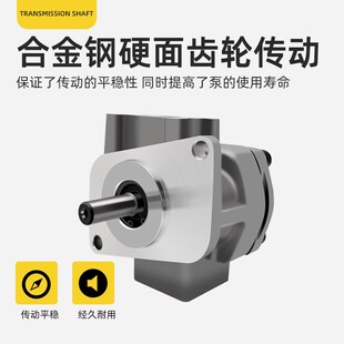 11K.5R 5.8R GPY液压齿轮泵高压齿轮泵 10R GPYZ