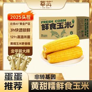 【莘苒吉林黄甜糯玉米 粒大饱满糯叽叽 原香浓郁巨好吃】粗粮低脂