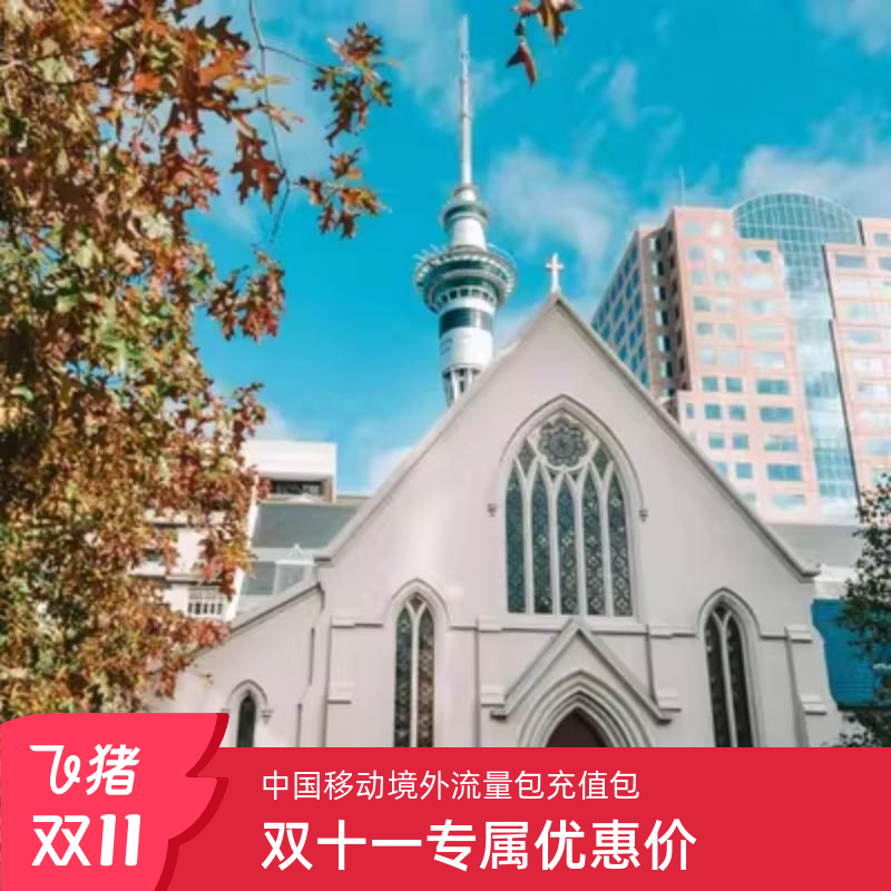 当天不限量 流量直充 无需换卡 落地自动生效 不影响语音通信