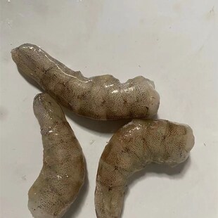 现货顺丰北水手工新鲜速冻淡水冷冻河虾泥鳅段锦饲Z料山根鱼食