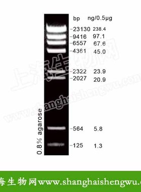DNA HindIII 50T 250ul DNA Marker分子量标准RU04030 核酸电