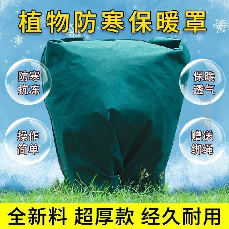 篷布树木霜雪橘子绿防寒柑橘罩果树防风保温越冬防植物布防冻保暖