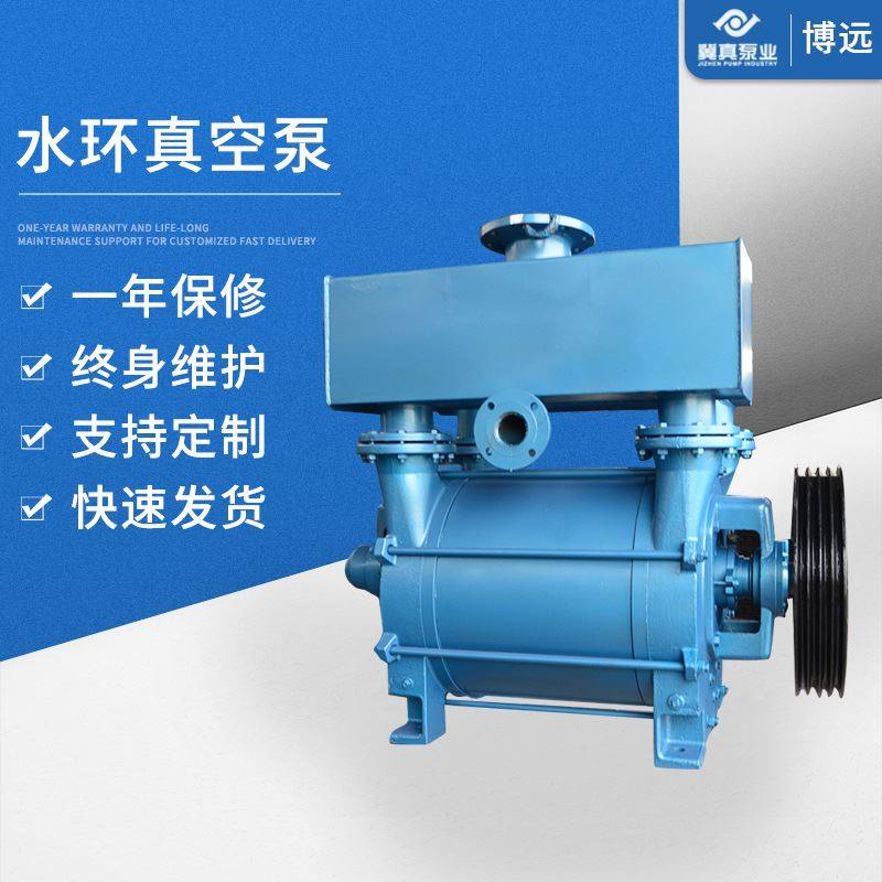 冀真厂家供应2-252电压380水环式真空泵造纸配套真空泵,五金/工具,水泵,淘宝优惠券,粉丝福利购,淘宝优惠卷
