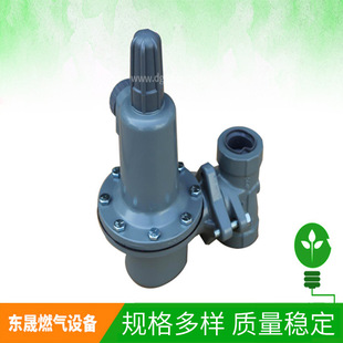 498 499 1217 费希尔Fisher1627 29858 497 29855 29860调压 496