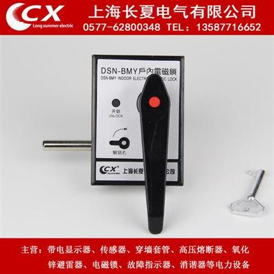 户内高压磁力锁DSN-BMZ BMY/AMZ(Y) I/Y(Z) DMY(Z)手柄式开 关柜