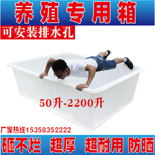卖鱼箱塑料水箱车载储水箱牛筋箱长方形水产养殖养鱼箱大容量加厚