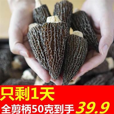 云南全剪柄羊肚菌干货官方旗舰店干菌菇类羊肚菇500g克非野生蘑菇