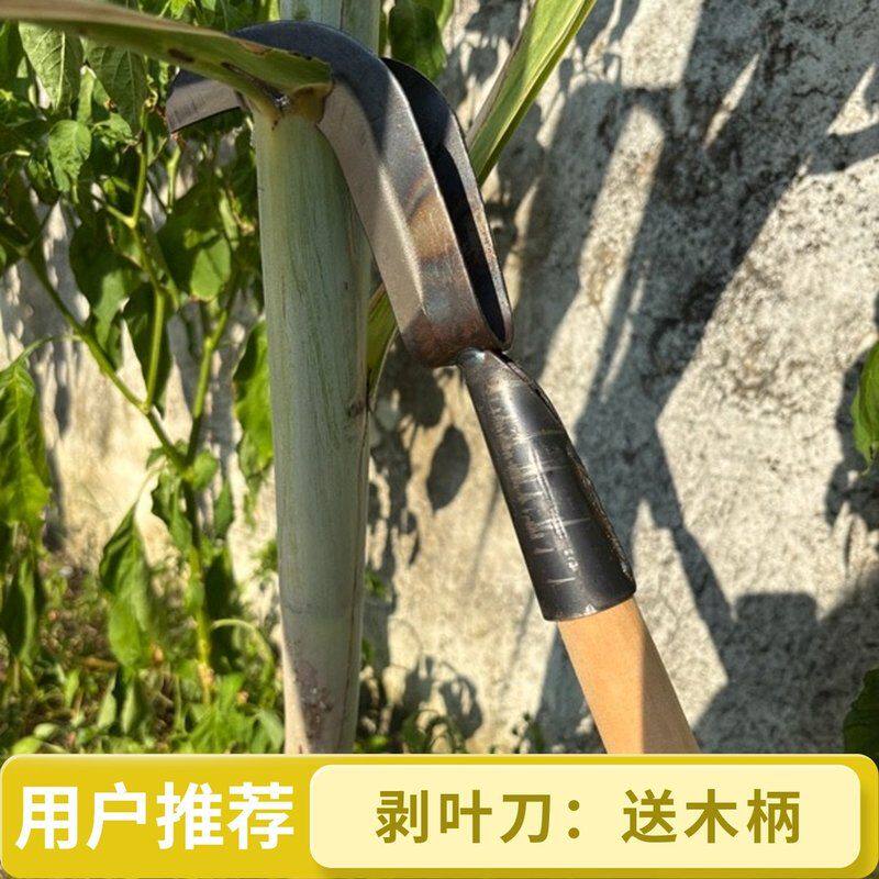 全钢甘蔗叶剥刀高效省力撕扒甘蔗老叶专用农用工具甘蔗剥叶专用刀