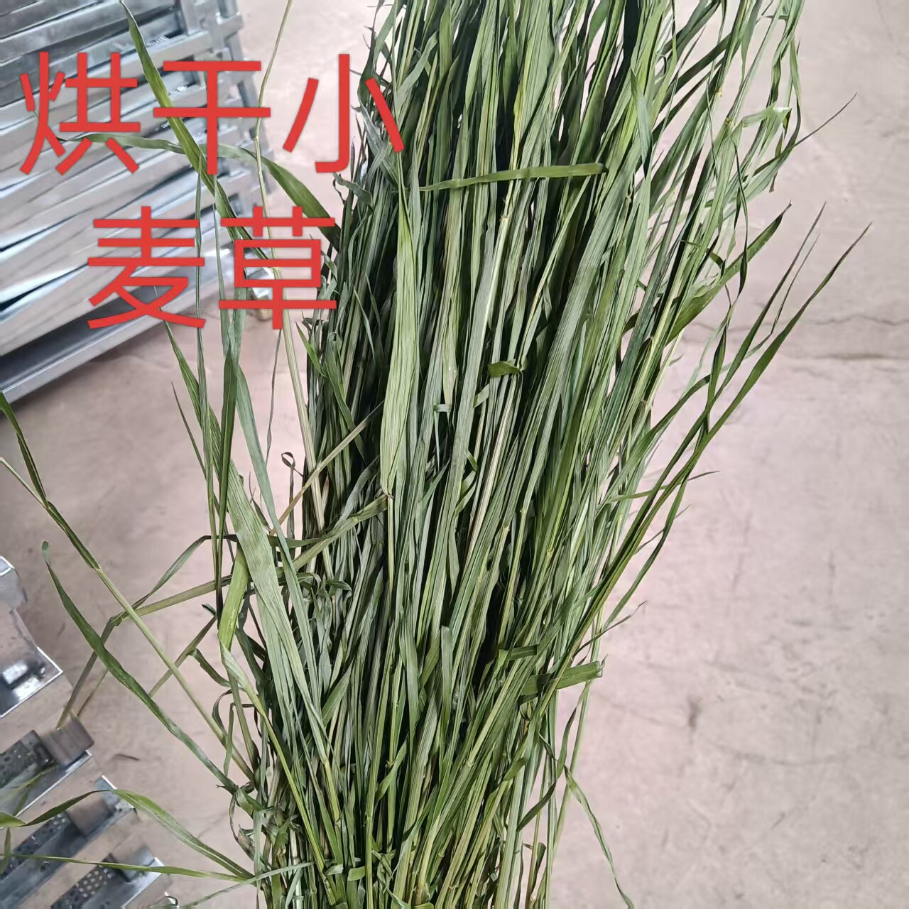 烘干小麦草兔子零食草