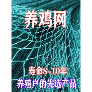 鸡网围栏家用养殖网塑料拦网拦鸡网网子鸡舍养鸡棚网箱养殖场室外