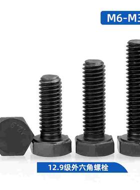 黑色12.9级高强度外六角螺栓螺丝/M8M10M12M14M16M18M20M22M24M30