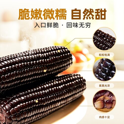 东北非转基因有机黑糯玉米220g