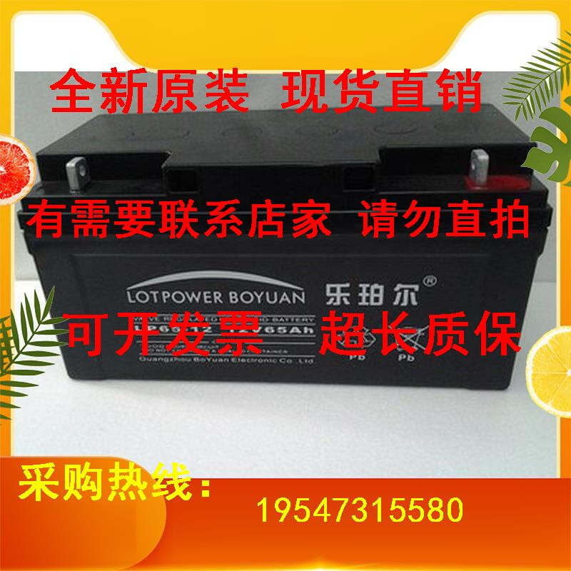 LOTPOWER蓄电池LP-12V17AH24AH38AH40A65AH100AH直流屏UPS