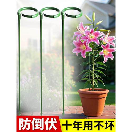 植物支撑杆龟背竹花卉支藤撑架固定防倒伏朱顶红百合园艺番茄爬架