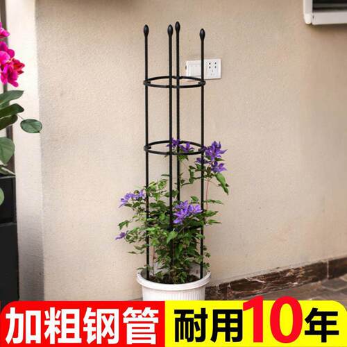 阳台铁艺爬花架藤月季铁线莲花盆支架园艺支柱室外攀爬植物支撑杆